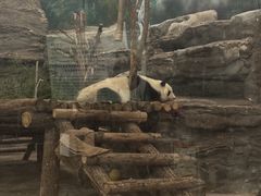 -鄂尔多斯野生动物园