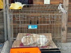 -满兴咱妈烀饼铁锅炖(兰州北街店)