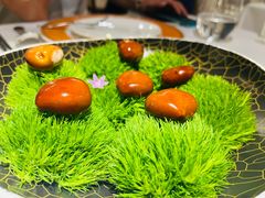 -鹿园 MOOSE(长宁店)