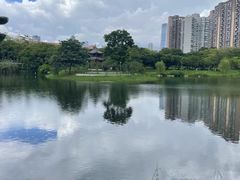 -四海公园(南山区)