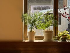 -朵朵开素食餐厅(后宰门街店)