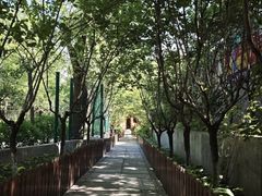 -太阳宫公园