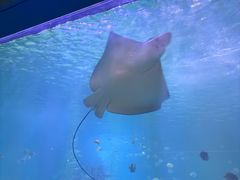 -常州海昌海洋探索馆