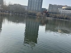 -青城公园