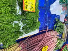 -五里多农博广场