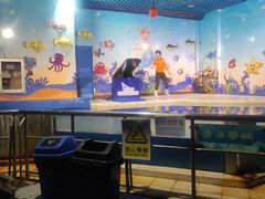 -太平洋海底世界