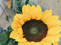 -亭亭鲜花店(中山北路店)