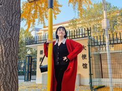 -三里屯东五街银杏大道