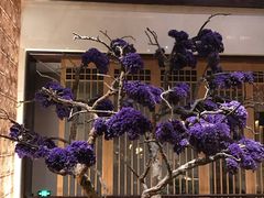 -西安华清御汤酒店