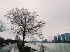 -喜洲吧·江畔老船厂·庭院餐厅(喜临院店)