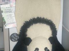 -熊猫一间店欧式奶茶铺
