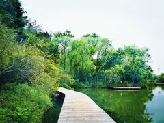 -西溪国家湿地公园