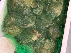 -楚媚娘炭火蛙锅(宽厚里店)