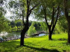 -长春公园(普阳街道)