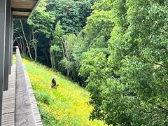 -西湖风景区-江洋畈生态公园