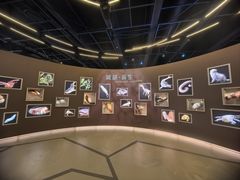 -香港科学馆