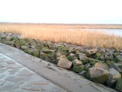 -南汇嘴观海公园