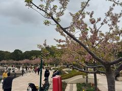 -新江湾城公园