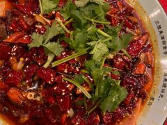 -贝贝龙虾·音乐餐厅(昌平东关店)