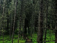 -硗碛藏寨·神木垒景区