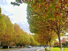 -云龙湖旅游景区