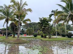 -中国科学院西双版纳热带植物园
