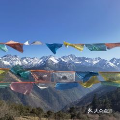 【忘忧云庭】电话,地址,价格,营业时间(图) - 小金县美食 - 大众点评