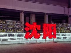 -沈阳奥体冰雪嘉年华