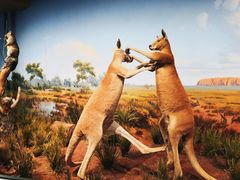 -陕西自然博物馆