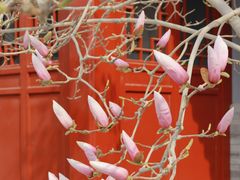 -天津大悲禅院