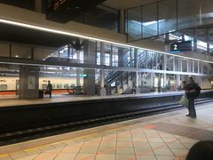 -文府路口(Taiwan High Speed Rail Zuoying Station)