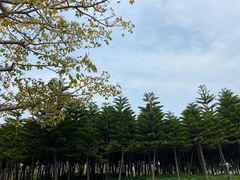 -五通灯塔公园