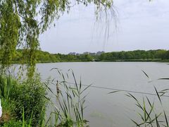 -昆山城市生态森林公园