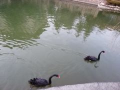 -芭东小镇温泉