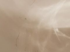 -广州白天鹅宾馆