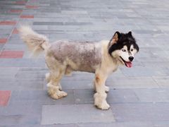 -溪口-滕头旅游景区