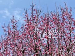 -贵阳市花溪国家城市湿地公园