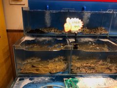 水产区-添福来墨鱼饺子 · 海鲜东北菜(大连星海·黄浦路店)