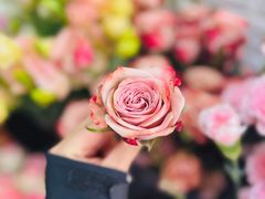 -雪蔓之鲜花气球派对(家佳源时代中心店)