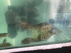 -泰华海鲜中餐厅(普吉镇店)