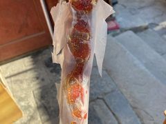 -和禄德冰糖葫芦