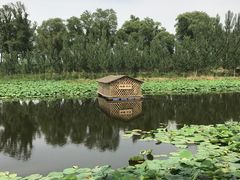 -白洋淀景区
