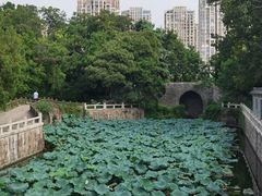 -水绘园