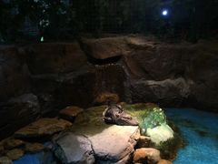 -多彩贵州城极地海洋世界