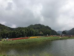 -广州市石门国家森林公园