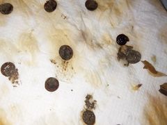 -大锅强·蒸海鲜青岛菜(吾悦广场店)