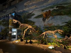 -自贡恐龙博物馆