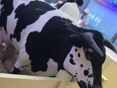 -红星前进面包牛奶公司(君太店)