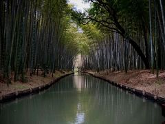 -同里国家湿地公园
