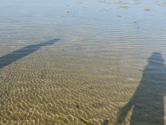 -红树林天天赶海